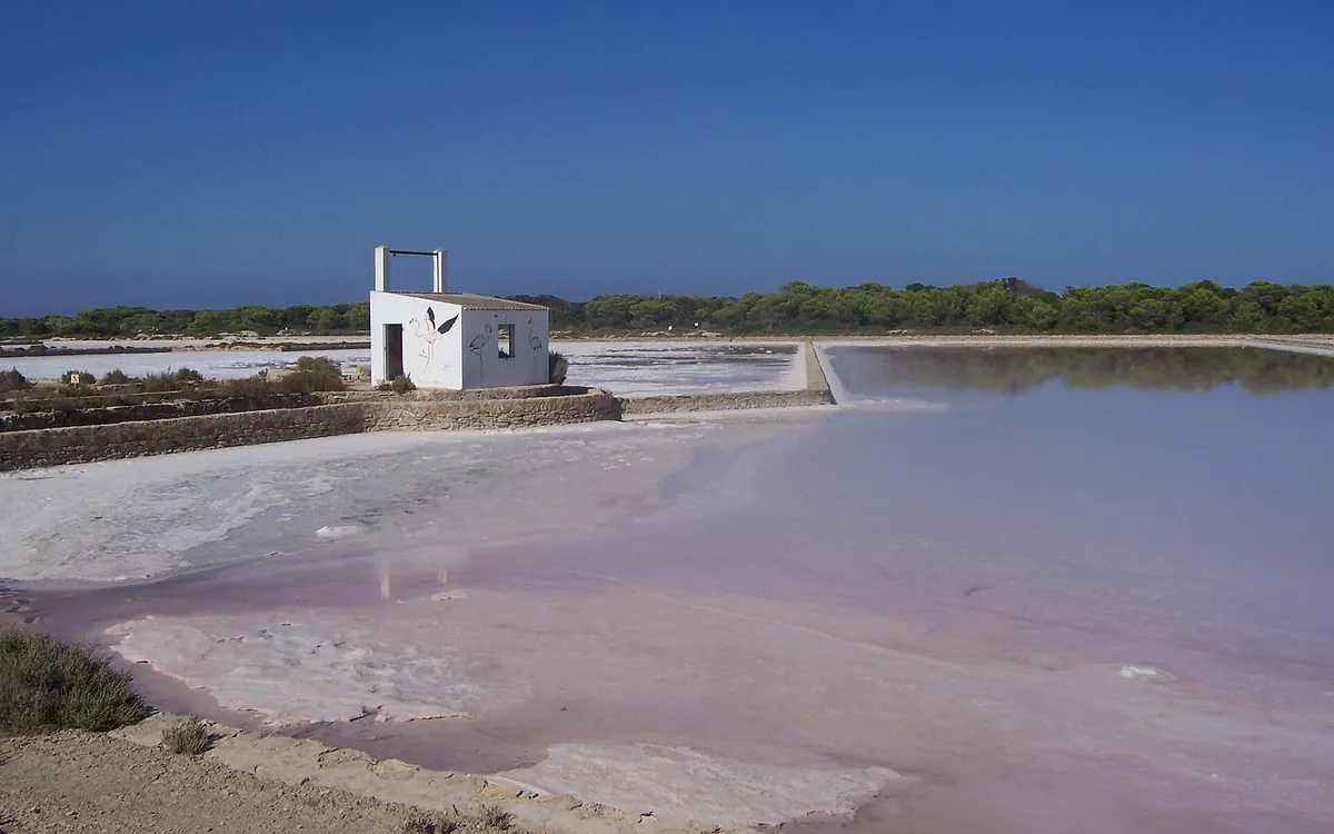 The salt flats of Ses Salines, Formentera